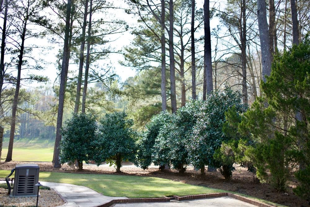 Gallery photos for Full-Property Landscape Maintenance on a Golf Course Estate in Westover: Image #24