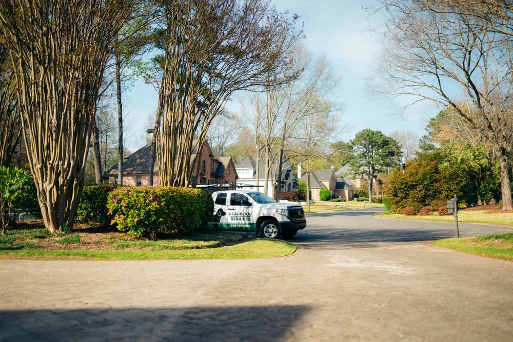 Gallery photos for Full-Property Landscape Maintenance on a Golf Course Estate in Westover: Image #15